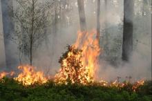 Rośnie zagrożenie pożarowe w lasach