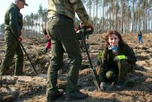 Leśnicy z Brodnicy również pomogli w sadzeniu drzew po huraganie stulecia