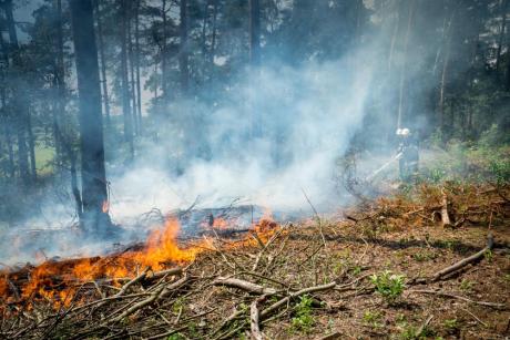 Uwaga! Niebezpiecznie sucho w lasach - duże zagrożenie pożarowe!