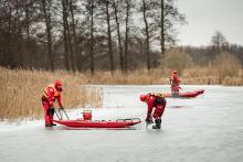 Akcja poszukiwawcza - działania straży leśnej